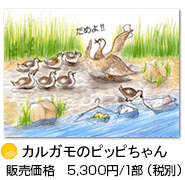 �J���K���s�b�s�����